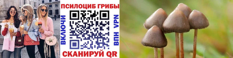 Псилоцибиновые грибы GOLDEN TEACHER  купить закладку  Кяхта 