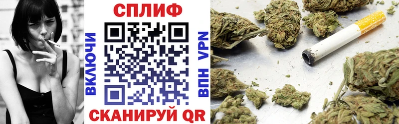 Конопля план  Кяхта 